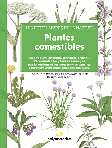 Plantes comestibles : ail des ours, pissenlit, plantain, origan... : reconnaître les plantes sauvage