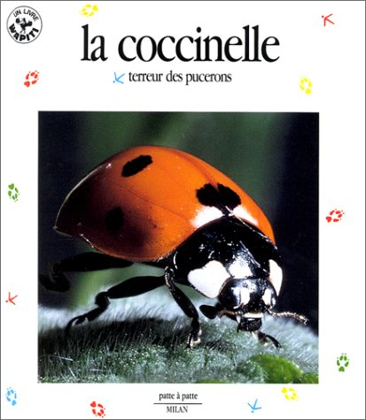 la coccinelle, terreur des pucerons