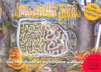 Les labyrinthes du château hanté : une inquiétante et mystérieuse aventure