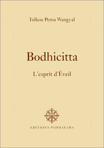 Bodhicitta : l'esprit de l'éveil