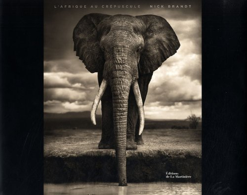 L'Afrique au crépuscule