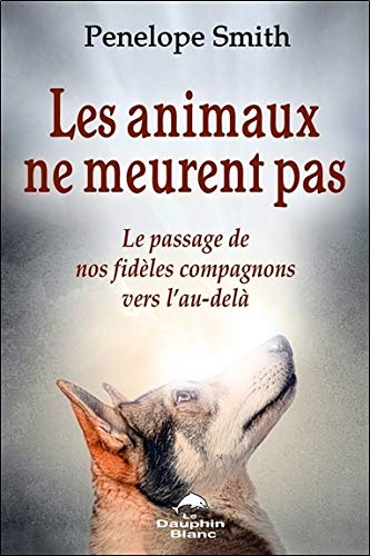 Les animaux ne meurent pas : passage de nos fidèles compagnons vers l'au-delà