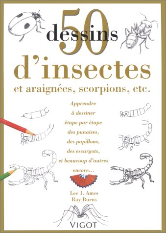 50 dessins d'insectes