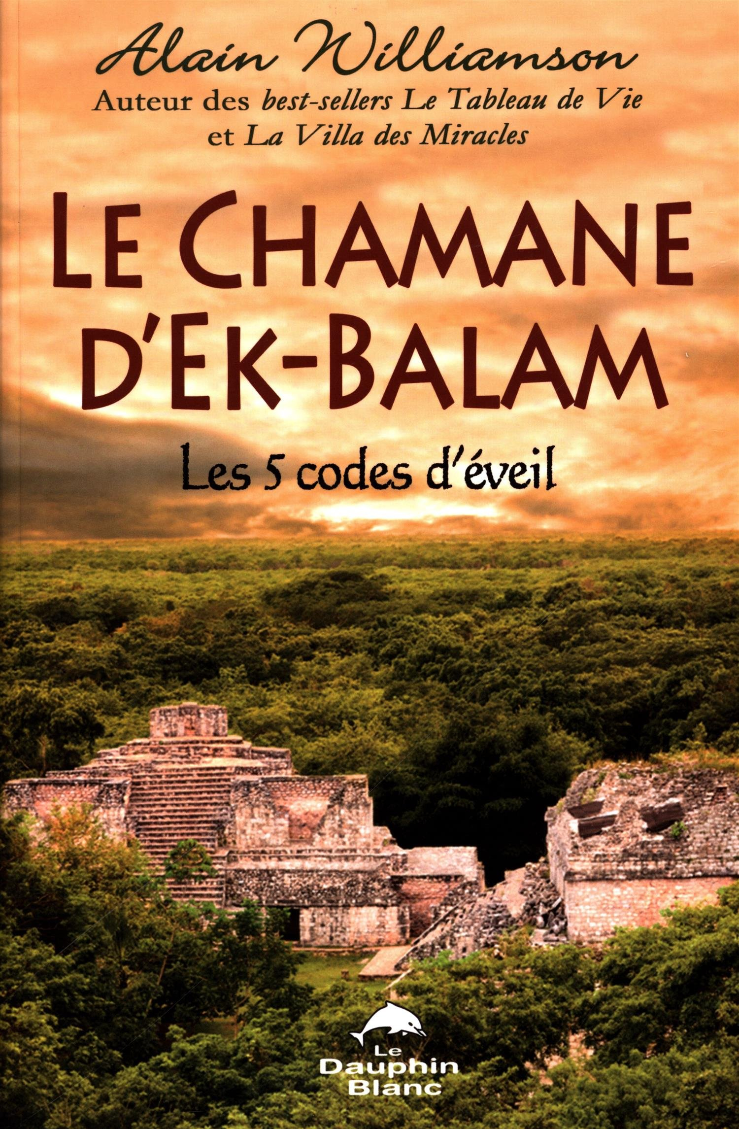 Le chamane d'Ek-Balam : les 5 codes d'éveil
