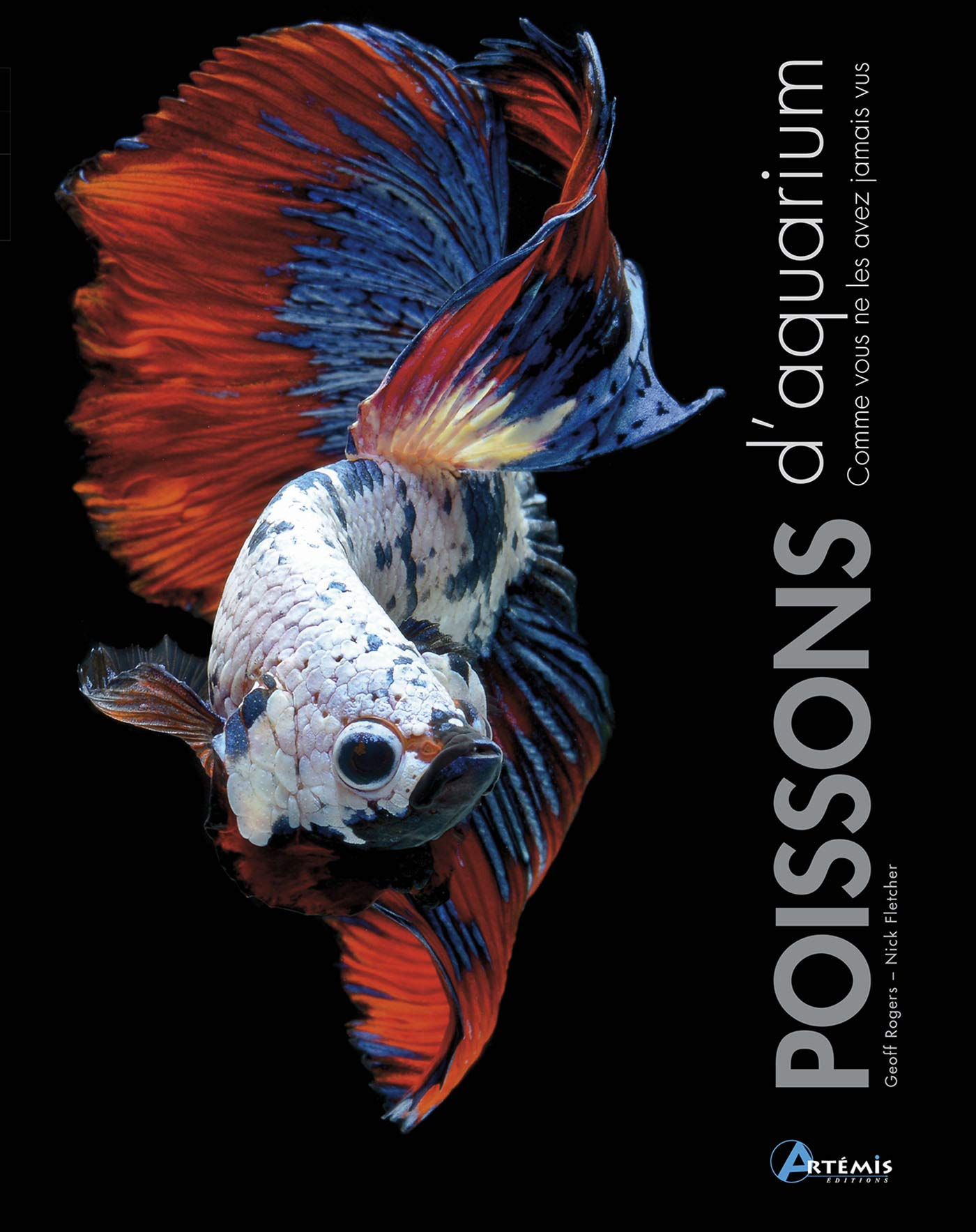 Poissons d'aquarium