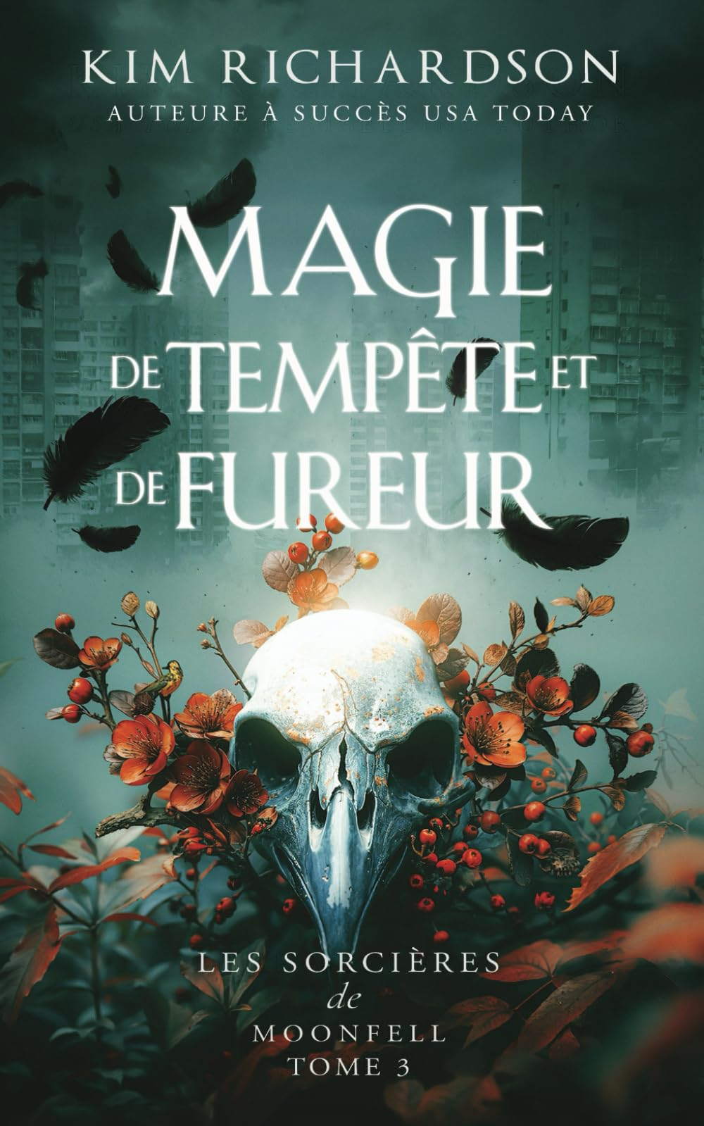 Magie de tempête et de fureur