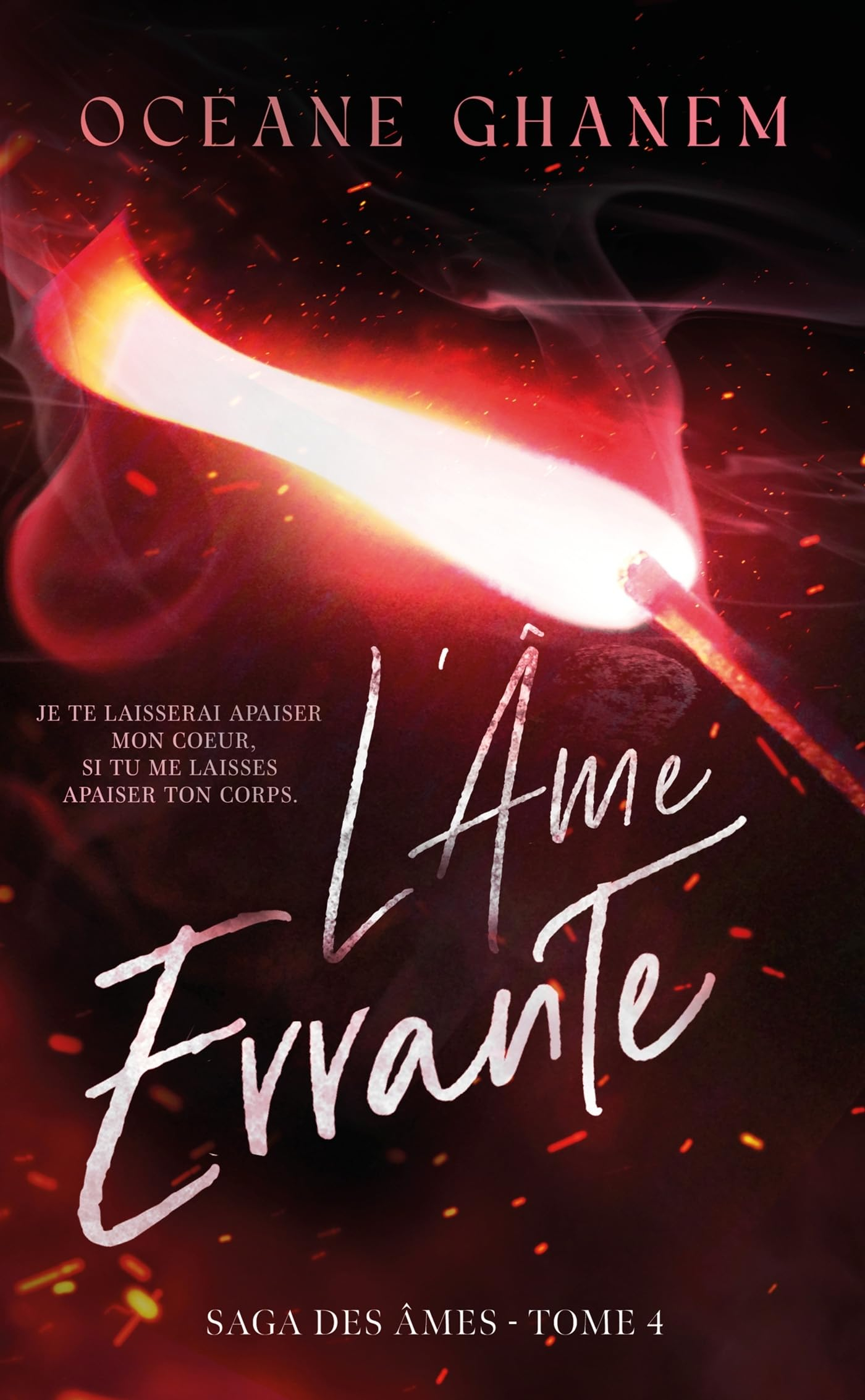 Saga des âmes. Vol. 4. L'âme errante. Vol. 2