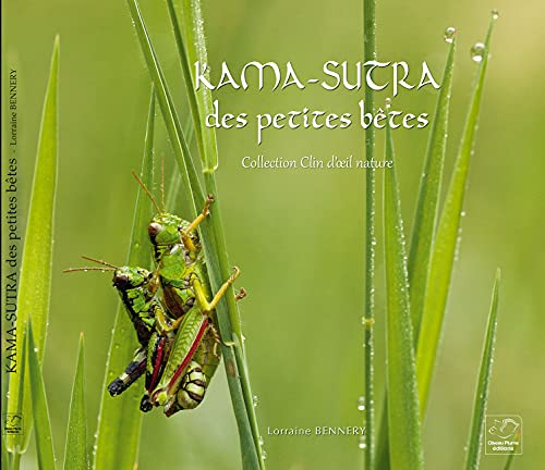 Kama-sutra des petites bêtes