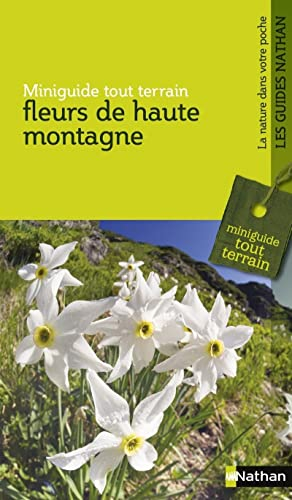 Fleurs de haute montagne