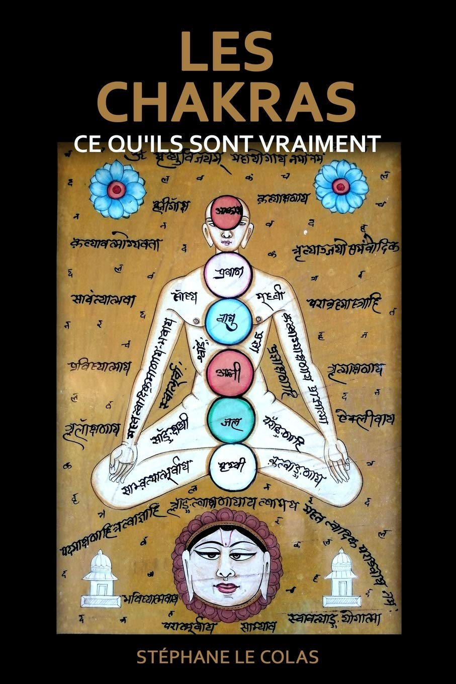 LES CHAKRAS : CE QU’ILS SONT VRAIMENT: Une explication brève mais concrète grâce aux apports de la s