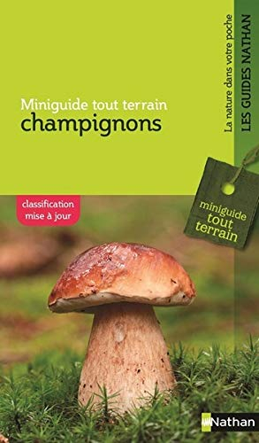Champignons