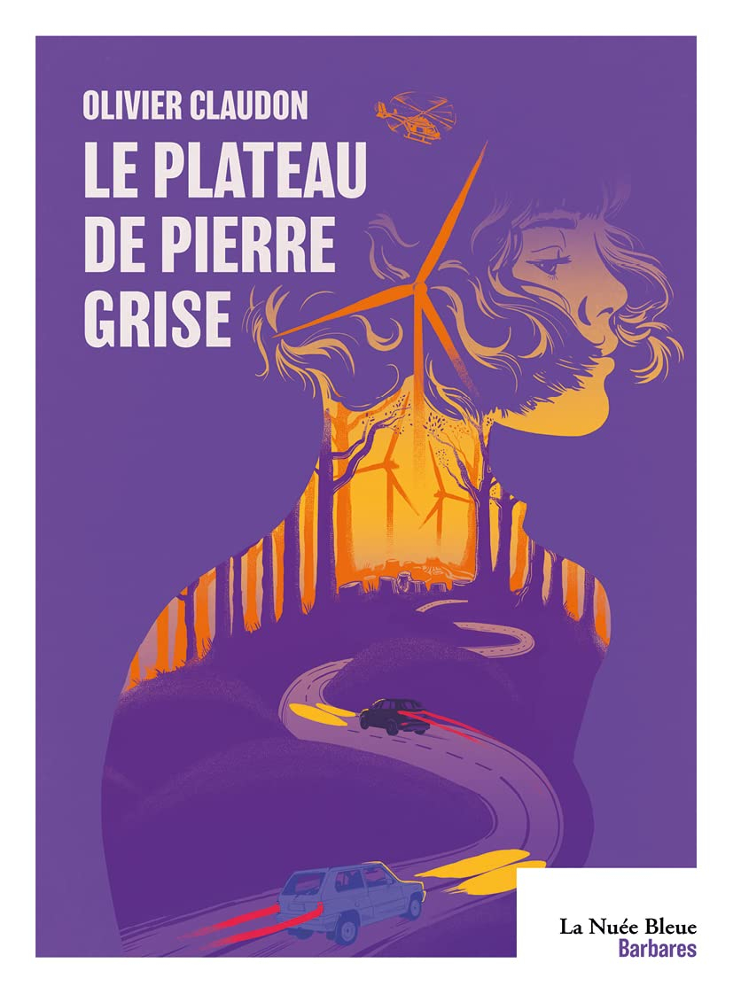 Le plateau de Pierre grise