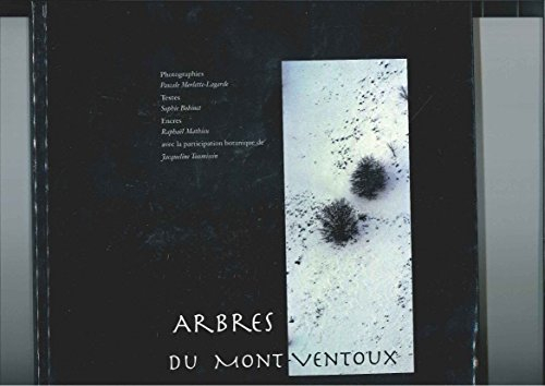 Arbres du mont Ventoux