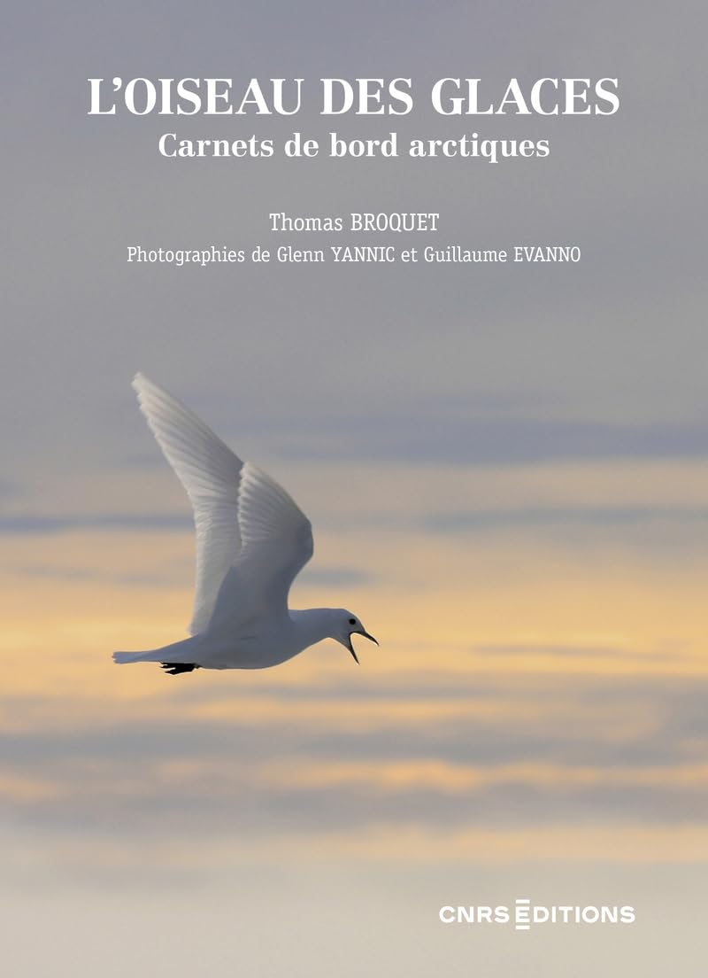 L'oiseau des glaces : carnets de bord arctiques