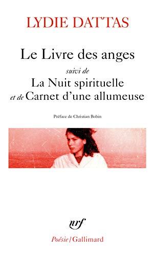 Le livre des anges. La nuit spirituelle. Carnet d'une allumeuse