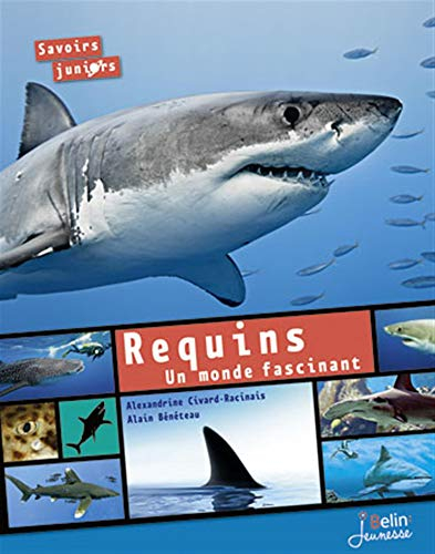 Requins, un monde fascinant