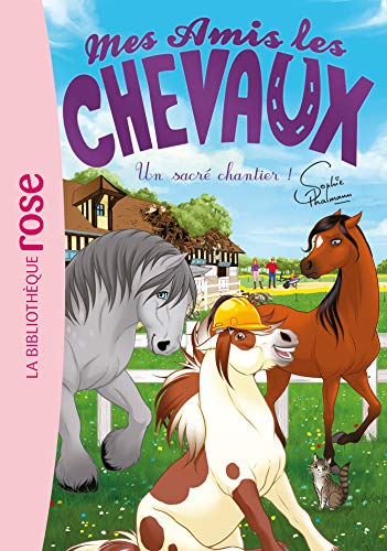 Mes amis les chevaux. Vol. 31. Un sacré chantier !
