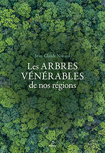 Arbres vénérables de nos régions : regard d'un artiste forestier sur nos arbres