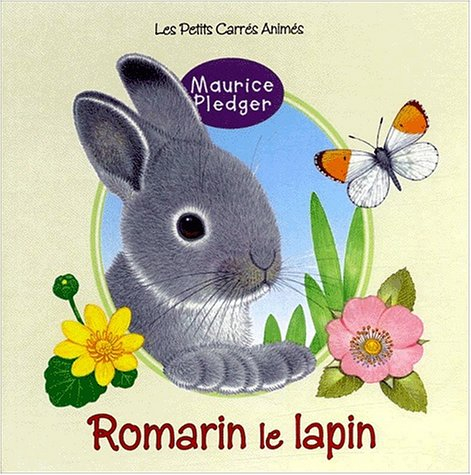 Romarin le lapin