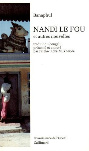 Nandi le fou : et autres nouvelles