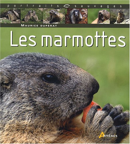 Les marmottes