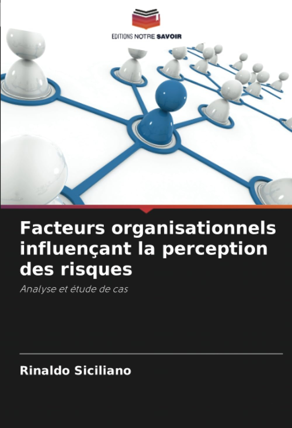 Facteurs organisationnels influençant la perception des risques: Analyse et étude de cas