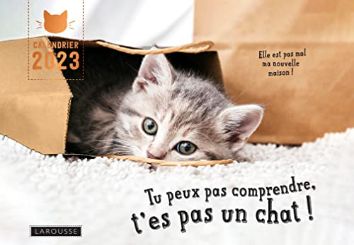 Tu peux pas comprendre, t'es pas un chat ! : calendrier 2023