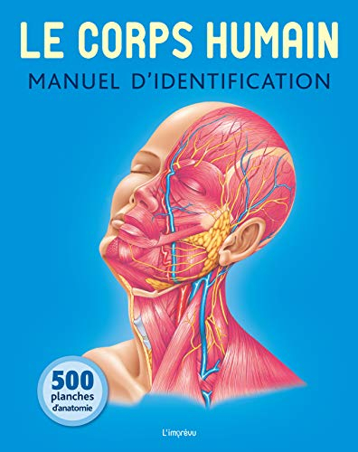 Le corps humain : manuel d'identification : 500 planches d'anatomie