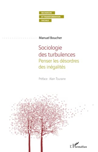 Sociologie des turbulences : penser les désordres des inégalités