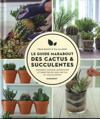 Guide Marabout des cactus et succulentes : comment choisir, entretenir et profiter de 200 cactus et 