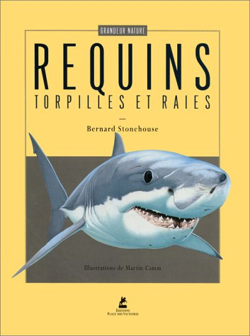 Les requins, les torpilles et les raies