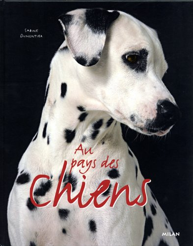 Au pays des chiens