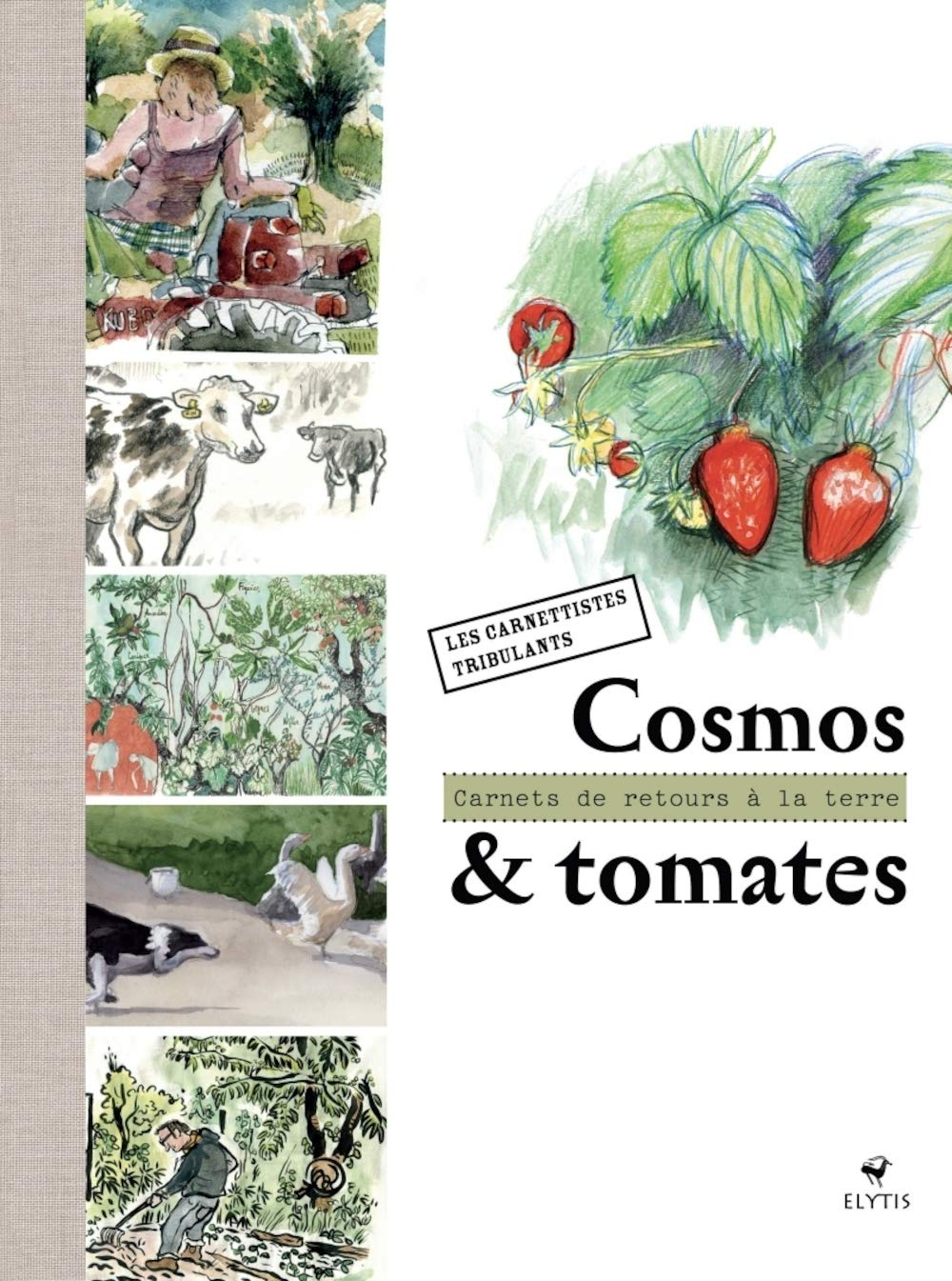 Cosmos & tomate : carnets de retour à la terre