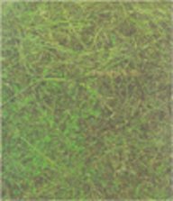 françois righi, summa pavonica