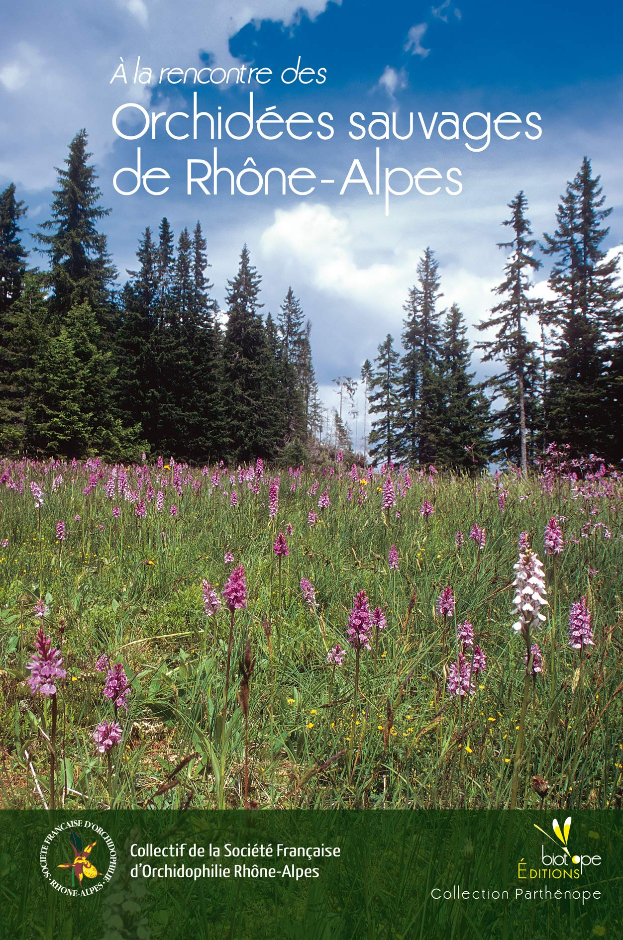A la rencontre des orchidées sauvages de Rhône-Alpes