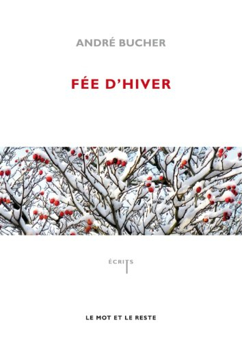 Fée d'hiver