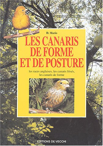 Les canaris de forme et de posture