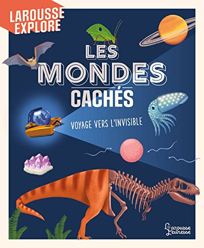 Les mondes cachés : voyage vers l'invisible