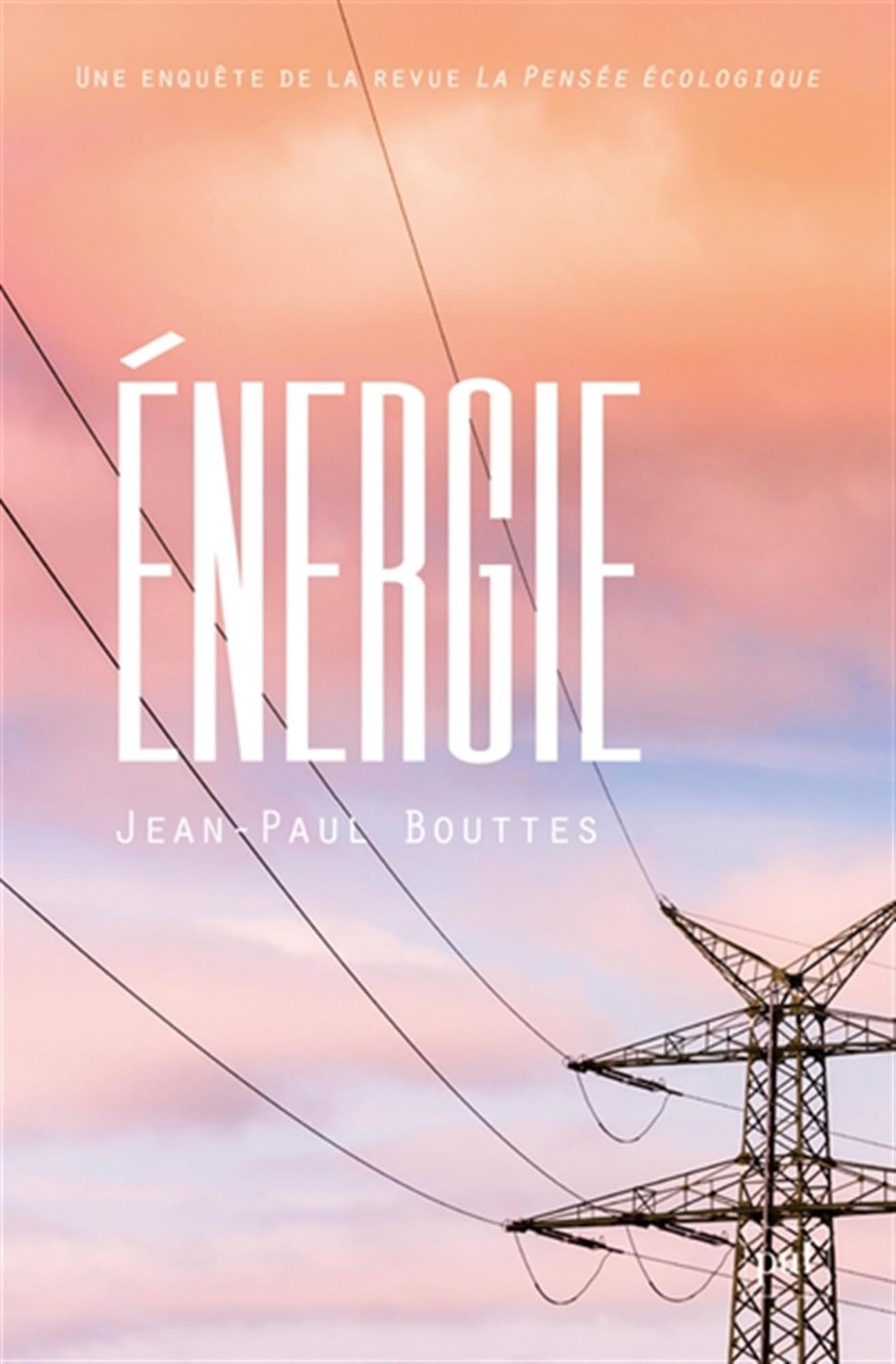 Une enquête de la revue La pensée écologique. Energie