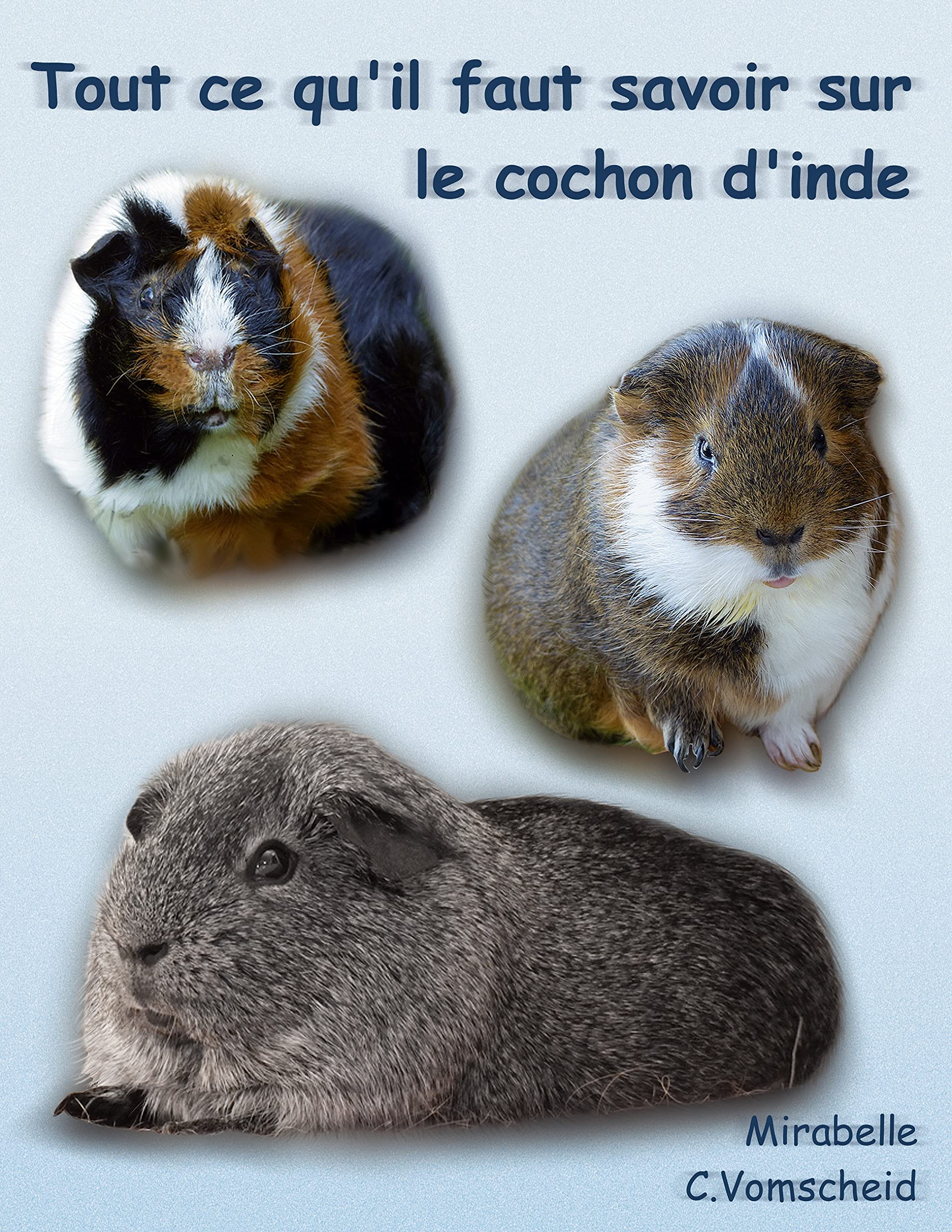 Tout ce qu'il faut savoir sur le cochon d'inde (nouvelle édition): nouvelle édition