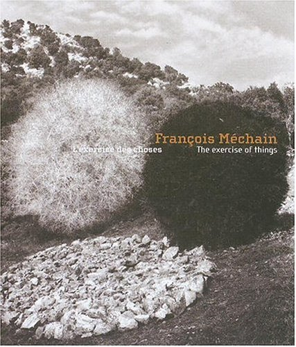 Ombres claires : présences contemporaines, résonnances d'une collection, le FRAC d'Ile-de-France au 