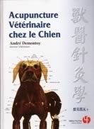 Acupuncture vétérinaire chez le chien
