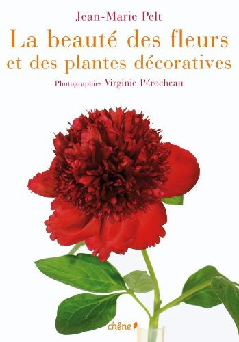 La beauté des fleurs et des plantes décoratives