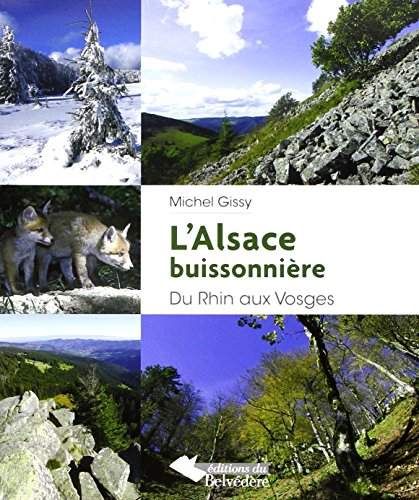 L'Alsace buissonnière : du Rhin aux Vosges