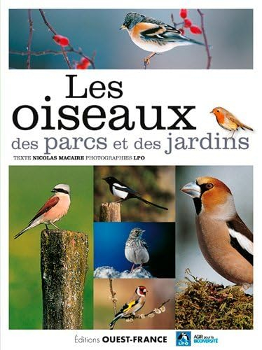 Les oiseaux des parcs et des jardins : de l'accenteur mouchet au verdier d'Europe