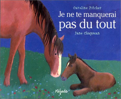 Je ne te manquerai pas du tout