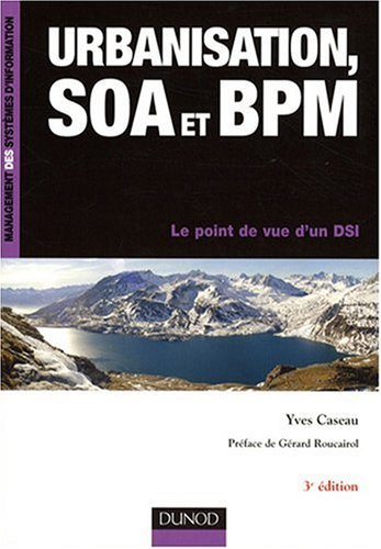 Urbanisation SOA et BPM : le point de vue d'un DSI