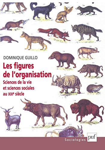 Les figures de l'organisation : sciences de la vie et sciences sociales au XIXe siècle