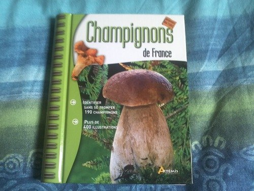 Champignons de France