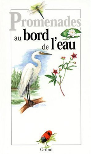 Au bord de l'eau